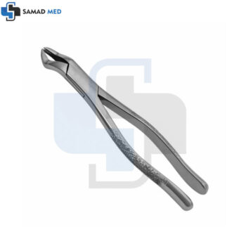 Dental Extracting Forcep 88R