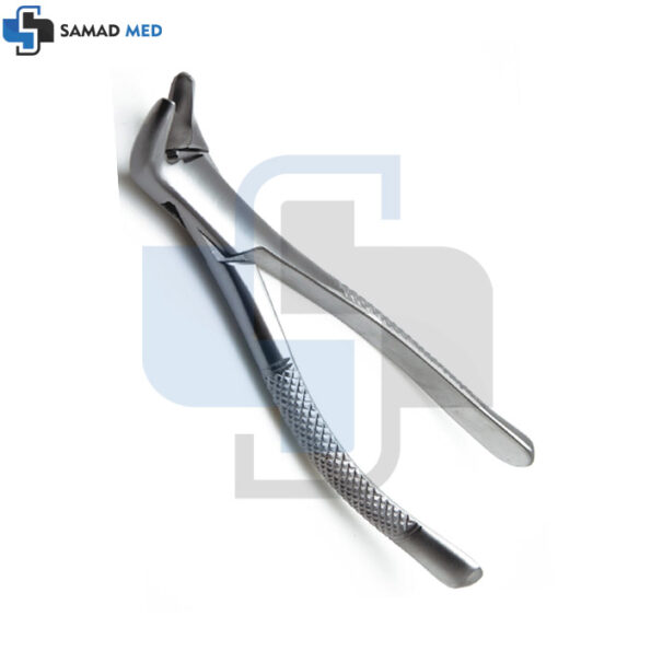 Dental Extraction Forceps 151 L